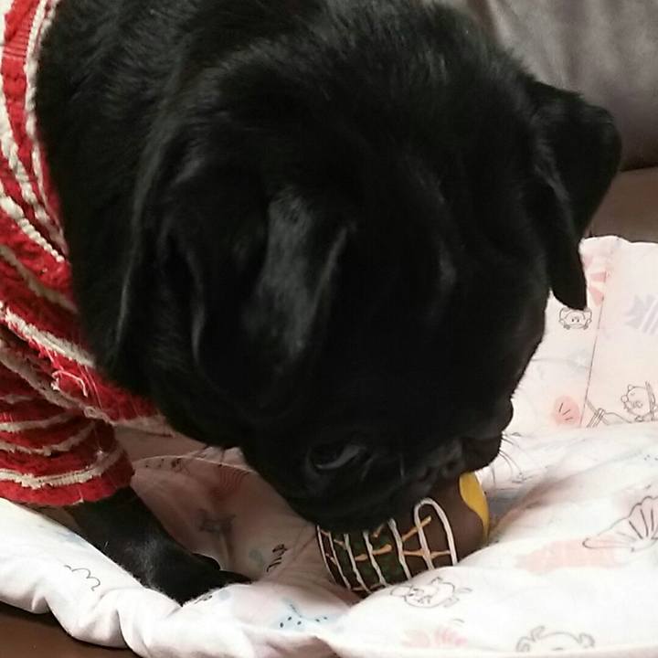 42d4b1f6 7630 4c51 b46e 5fb9b9506c6b 1541419577591