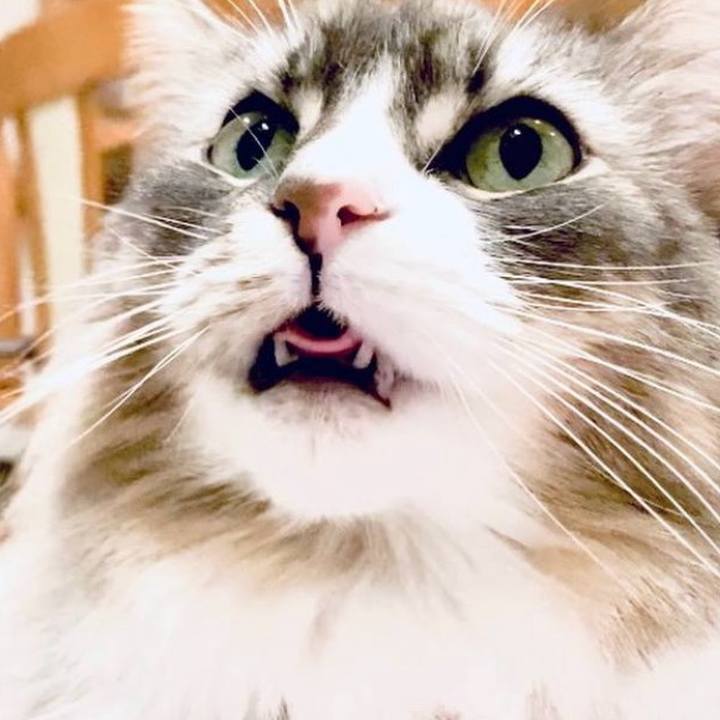 42d4c32f 54f9 4b78 a980 46c209db763d 1733505930326