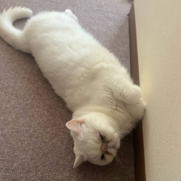 42d4c9ae ae05 4710 b8f2 b7f035275962 1756511194276