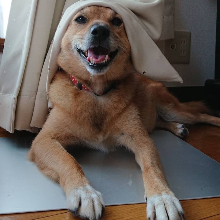 42d4cb5e 9f75 4f3d 9d06 6647635a25cc 1598746000540