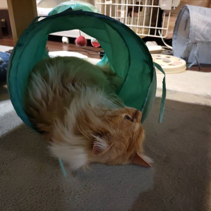 42d4d9e6 9ea2 4afe 81e3 2818b23d6b07 1685878544394