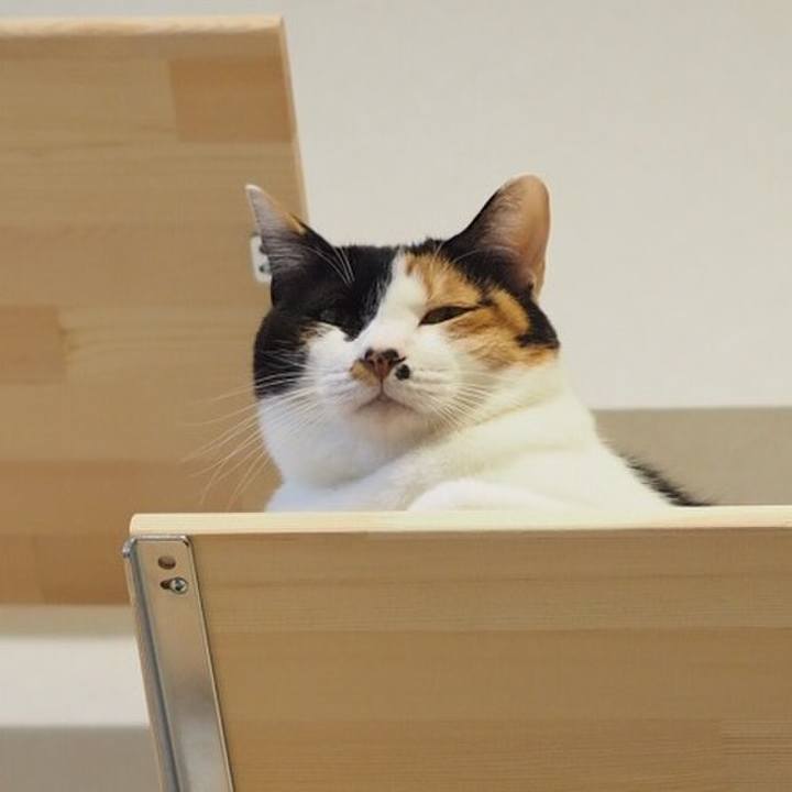 42d4fda3 a4ce 4e0e be32 292ef512f118 1547638934355