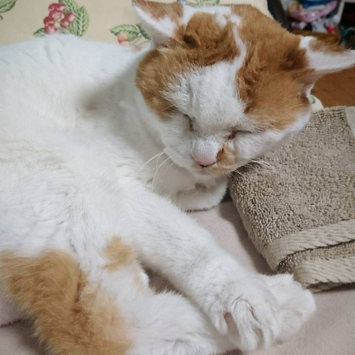 42d51002 2661 44d5 9db2 6f154080972e 1535714936139