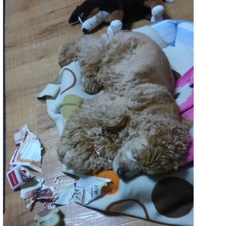 42d525c5 7950 4325 aae9 0b1ebcadad8f 1512567180831