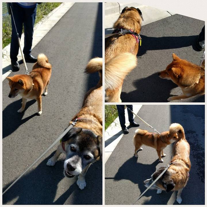 42d55b89 74ec 4ecc bf48 783efc5d1ee2 1538095323234