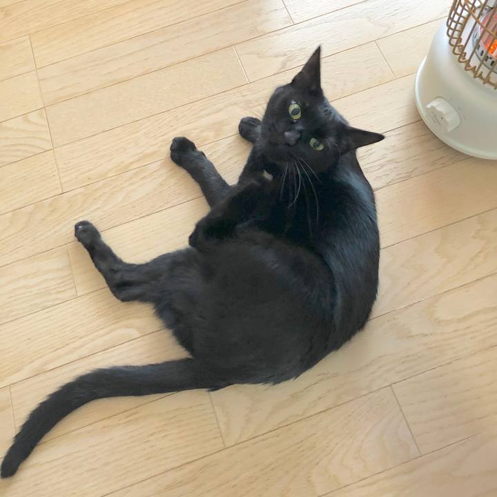 42d588c9 de1e 4d41 b710 e160c5abe2b0 1576143465995