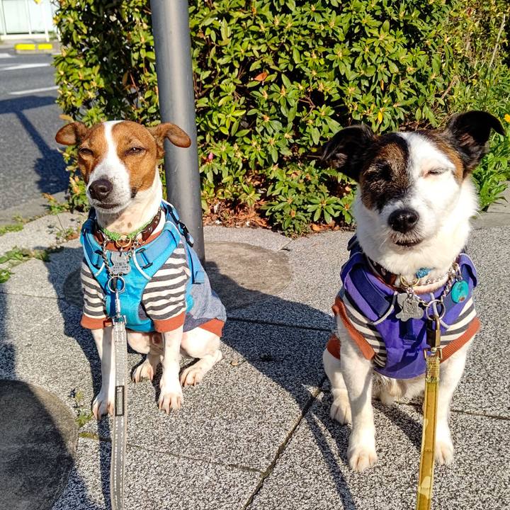 42d5a2f6 0c3c 4502 91ca f8813ea78fa4 1649457843966