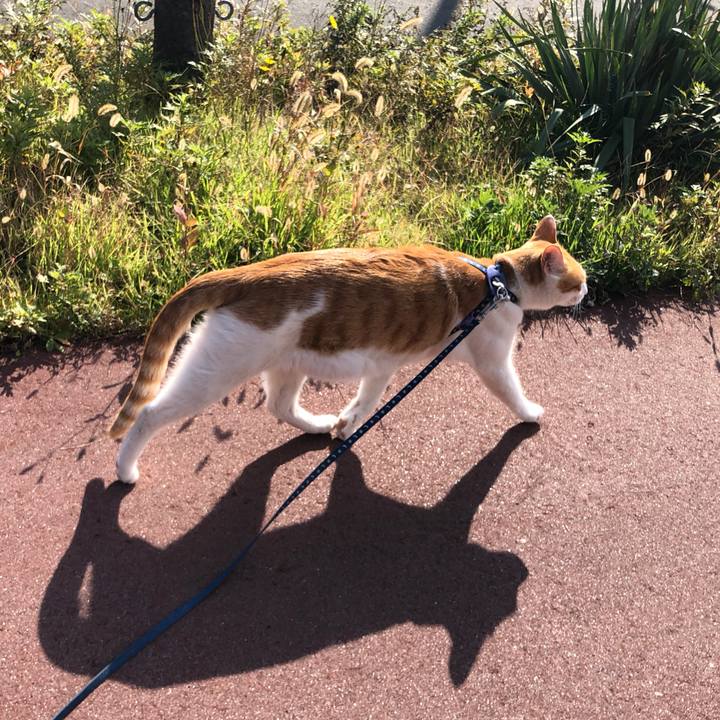 42d5c109 0f14 42b6 9c50 acefe07eb11c 1541647797671