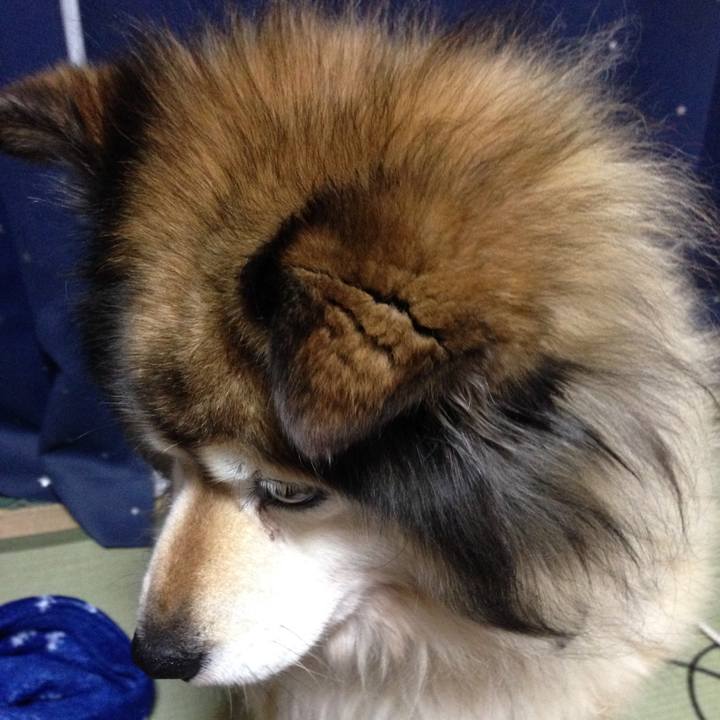 42d5cece aeb1 4893 94f4 ded19a0a24da 1550642573743