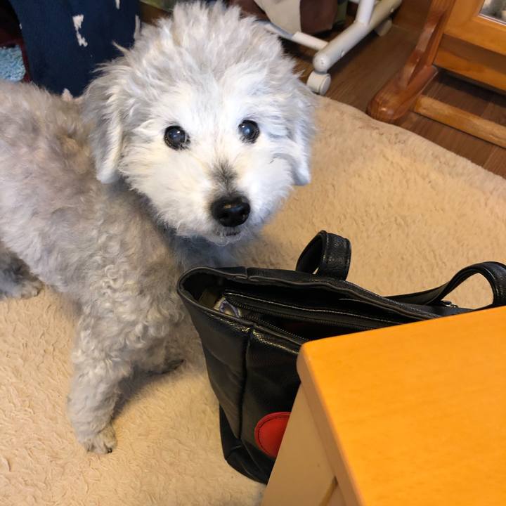 42d5db4c a73c 4333 a173 7b622e50dc2b 1618361476928