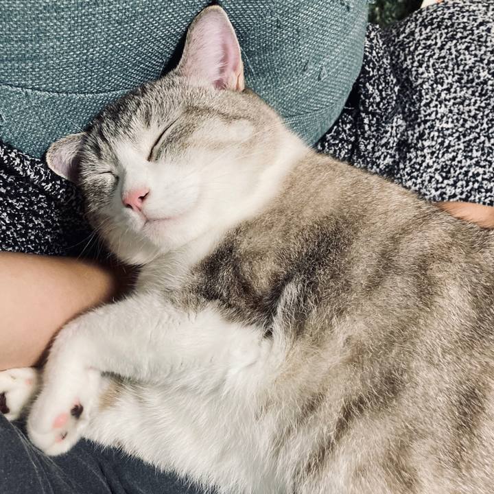 42d60669 68d4 4196 8b4f 21e24df1da62 1600677213520