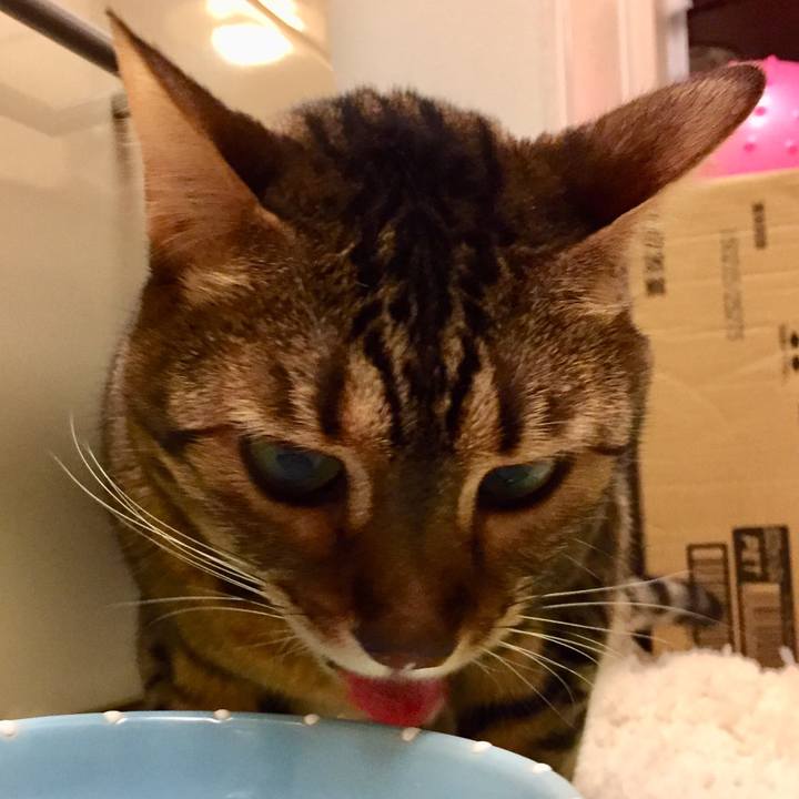 42d61d93 44dd 435d 887c ce7b42fb578b 1510090930419