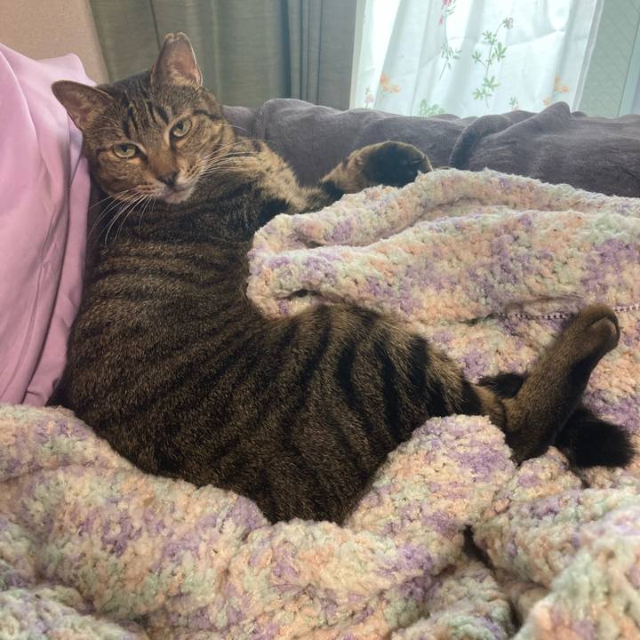 42d630bf f858 4bb2 a05d 7e98acf702a4 1665386158809