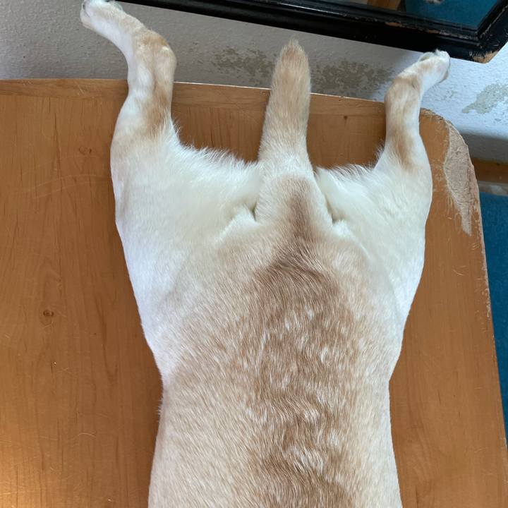 42d648c2 b87c 4dd7 8124 4e9edf685797 1635070138677