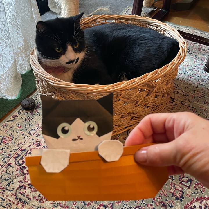 42d69498 f4c4 4830 8a22 afc345a2471b 1748471224658