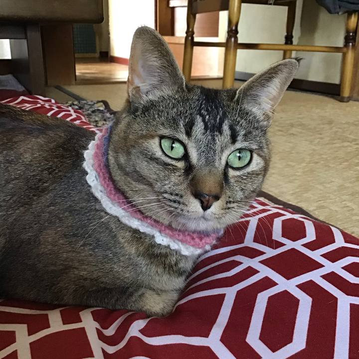 42d6b388 370b 4ee8 8e1f 924c7b17ff74 1619149508798