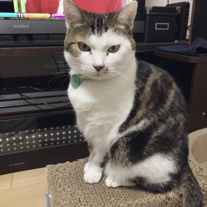 42d6b60a 727c 4127 9641 7e5bca450c6f 1548822142306