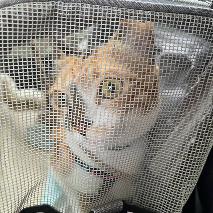 42d6f68e 62da 4756 8c0a 2d2414f0203d 1767576551577