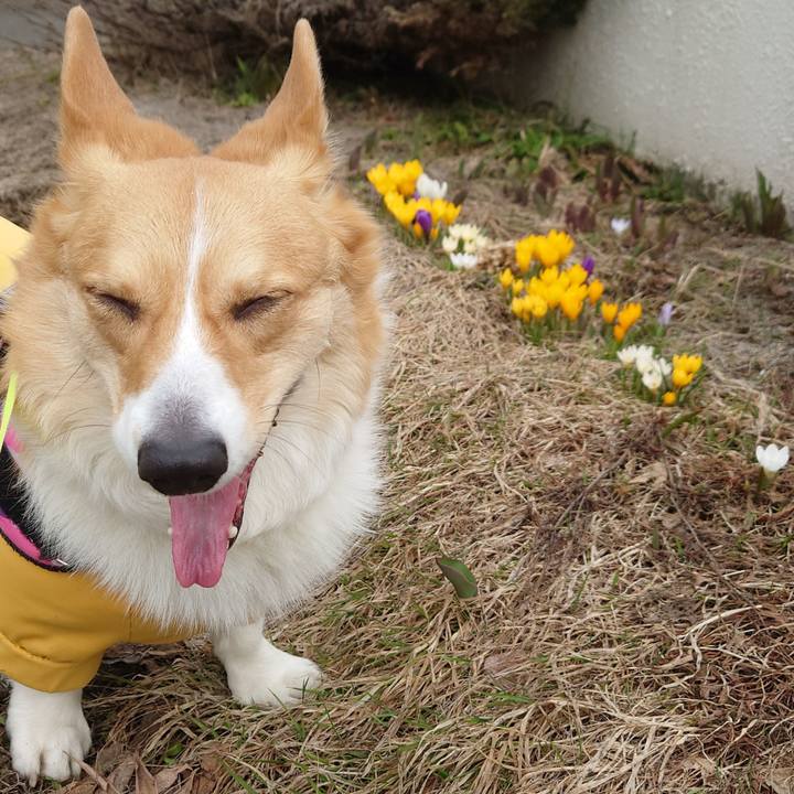 42d711c0 cef6 4b94 ac8d d15f38ba3dbf 1775399922059