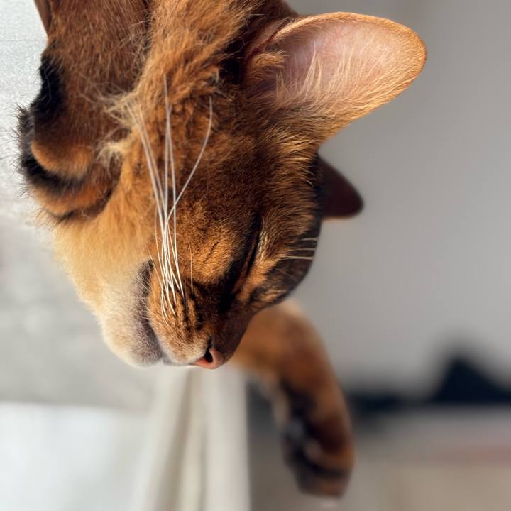 42d7544d 543a 4790 9913 c8a033c39215 1743668067161