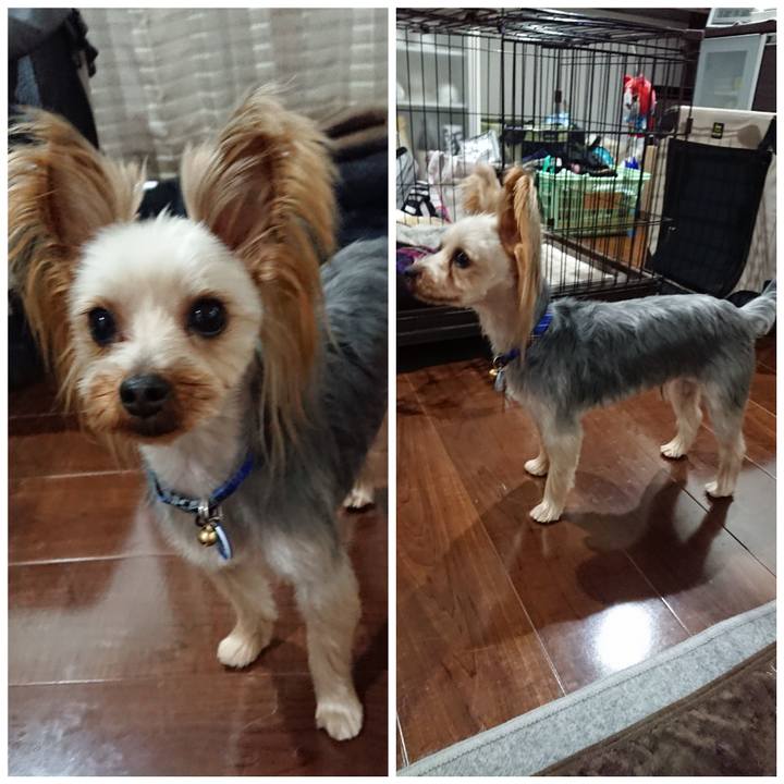 42d76da5 c52b 41a8 adc3 279acd4a8639 1521782317299