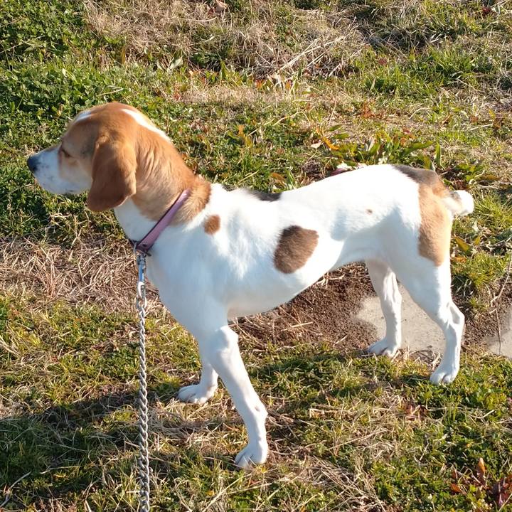 42d78705 32e9 4cd5 9aff 9be5de8dfcb2 1583047093734