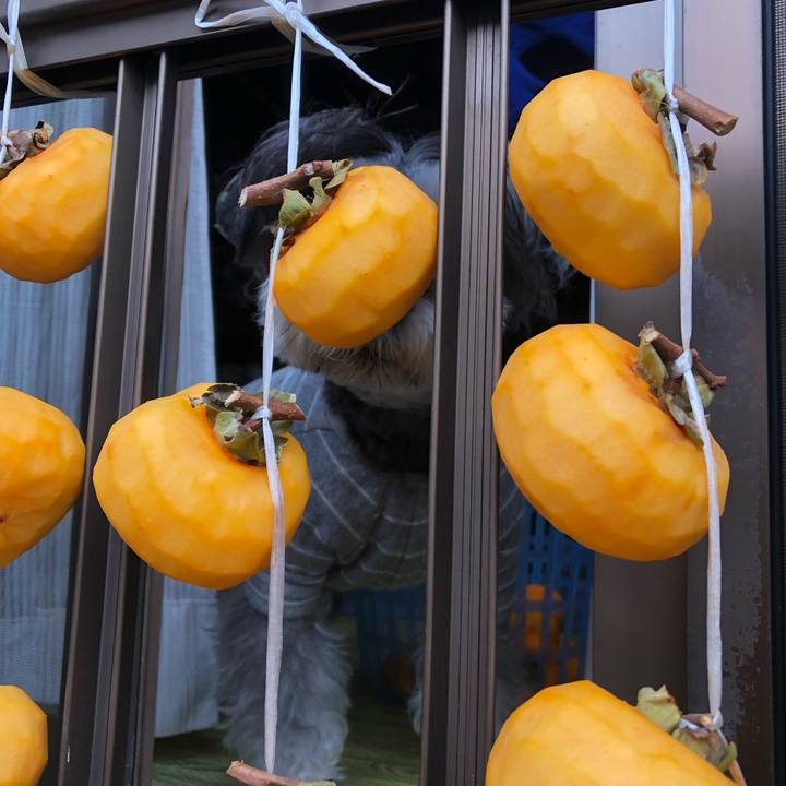 42d7ca89 7efc 4bf5 919a 2eae8ed1cffb 1698541419346