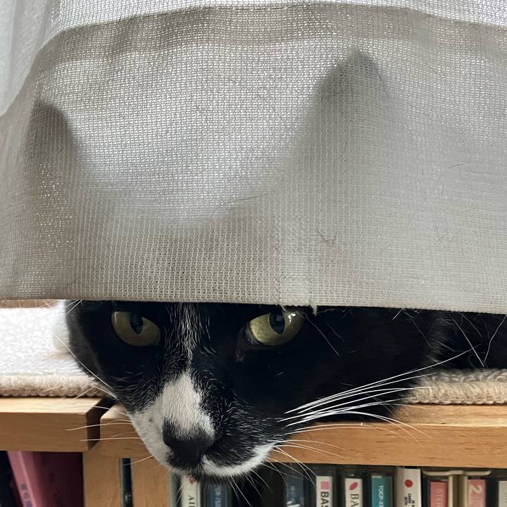 42d80203 aa5b 4245 9310 c08e63e3a9a9 1684726094605