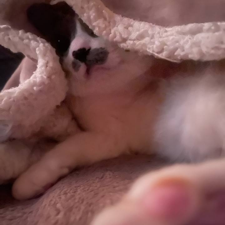 42d81961 9bd5 4396 9e3d b46f63d88782 1737412707236