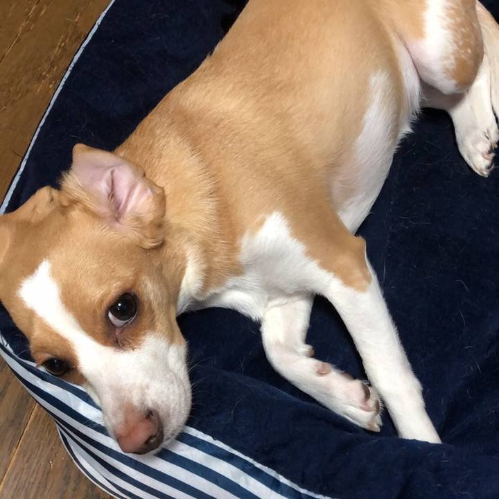 42d83567 590b 4c33 9474 016b780add60 1558424206583