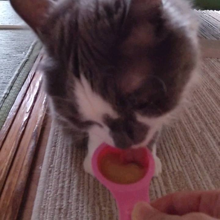 42d83d0b 3504 4dfe 9cdd 2b0f114504ce 1659776926746