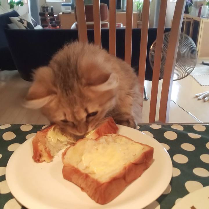 42d85fdb 08dc 460d a9ee 5f6acaf62edf 1559698546687