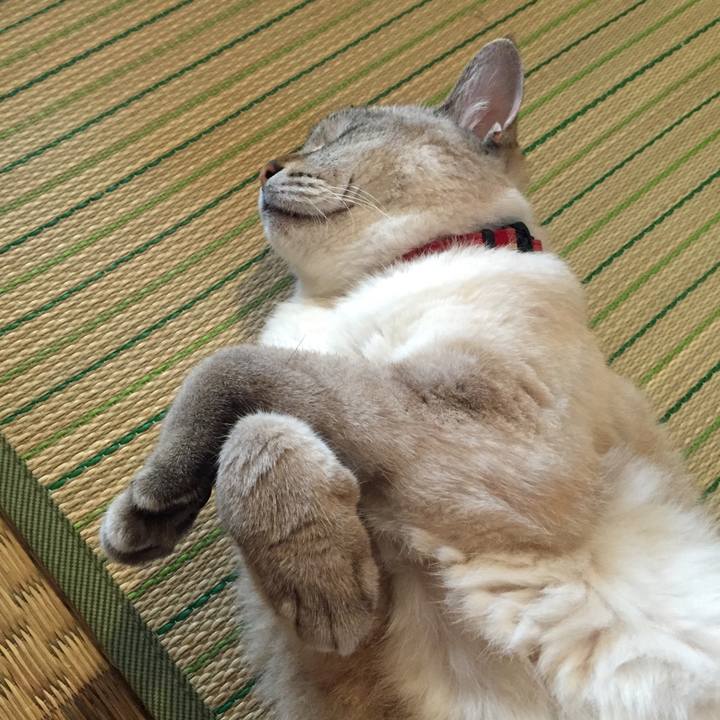 42d87318 15cd 4371 9c3a 5bf21e8d44ab 1532041027554