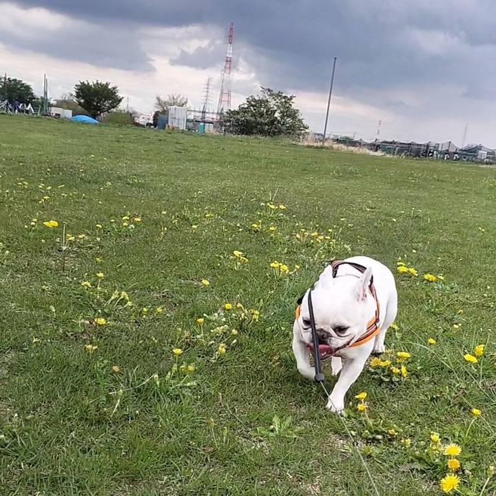 42d8d26d 8312 4036 94e9 dd2f93c7a291 1680996308512