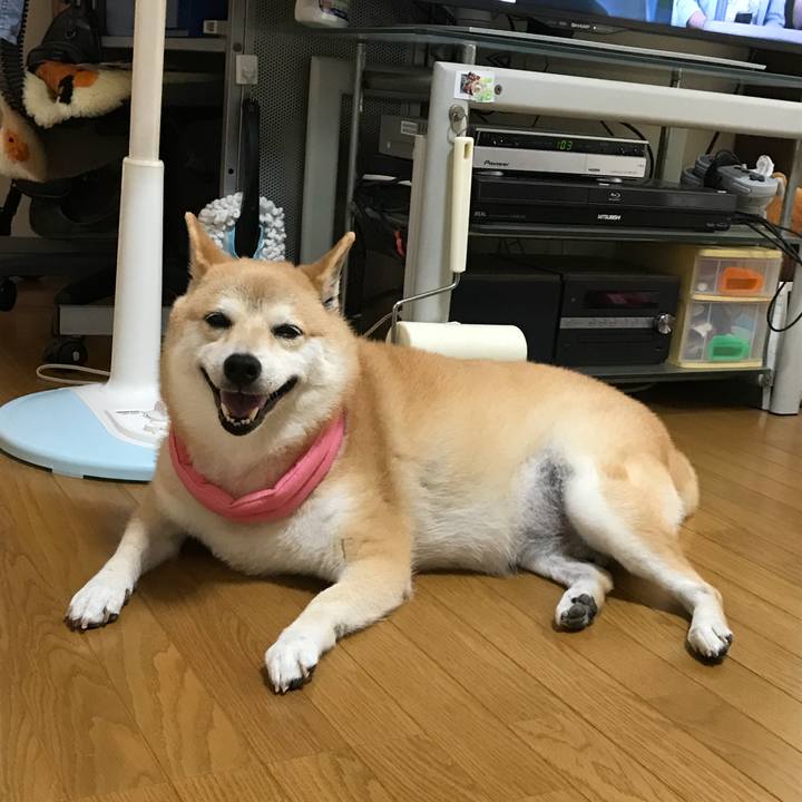 42d91143 bd7b 4ef2 a3a4 682cf48ba8fd 1531376996141