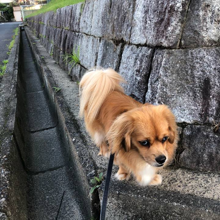 42d92c00 e2ab 4817 8335 e9df4734c570 1531176986843