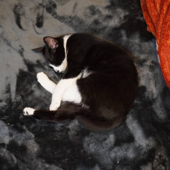 42d92faa a925 4e59 9e58 fb7224ca03b8 1576454474215