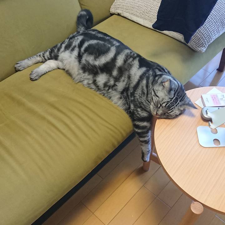 42d93bf9 1efb 4440 92ae 5fad7c3ccc37 1597277487908