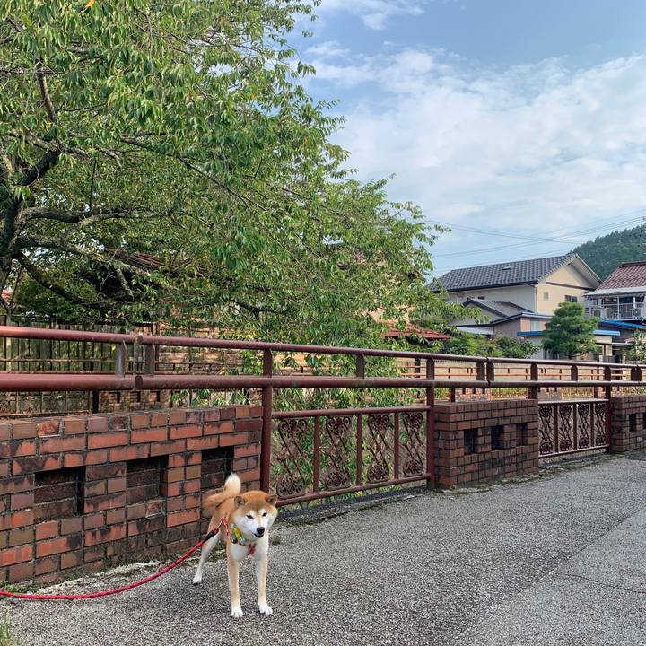 42d94d50 a25a 4e42 8bd3 3d7612161ec6 1566114164601