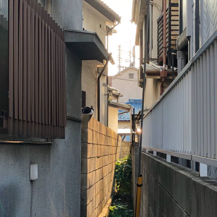 42d98b4e a44e 4265 a19d 9d2a45947992 1531429490054