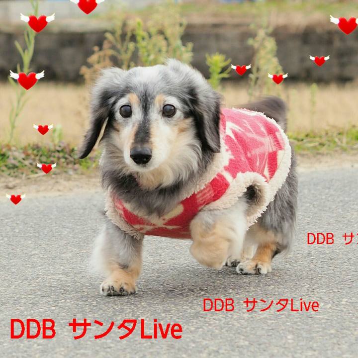 42d9b53c a683 4cb9 91f4 5e430b9e572e 1545529444080