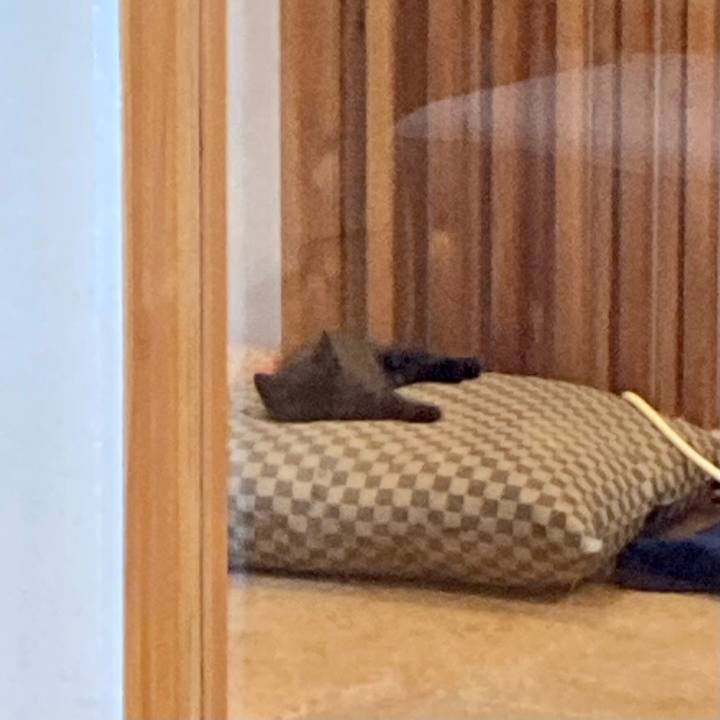 42d9d5e4 d9bb 436a 9fad ea4ce9d0b0c9 1697981407553