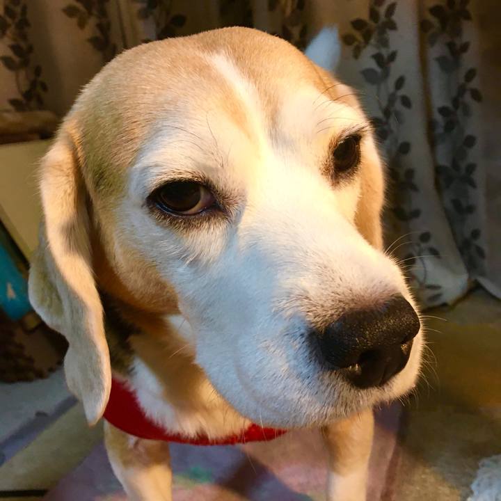 42d9f448 5596 497e b370 51a3c1f6481e 1575262547584