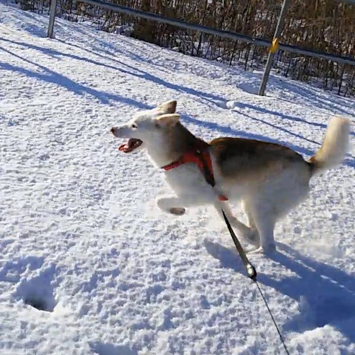 42da8128 8121 40fe b543 77bee151b304 1515630849061