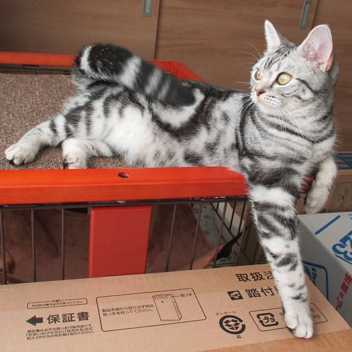 42daa811 4eed 4b73 b208 2fbb5efec18f 1544794201175