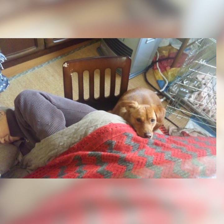 42dac729 9371 42e1 9c8c 4d8ccb471eac 1525025197076