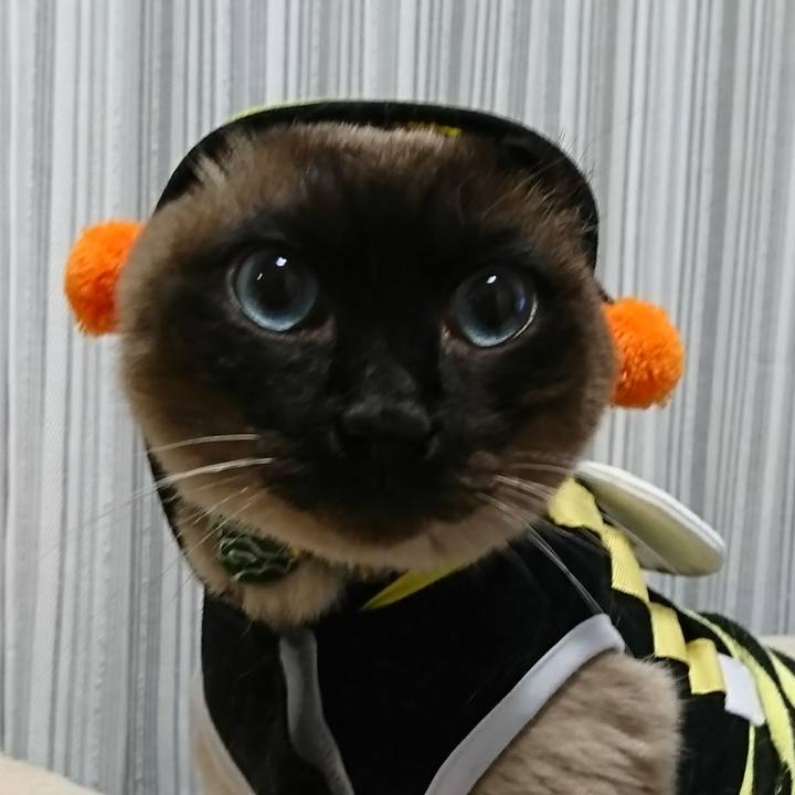 42db009f bb02 43a3 81b4 9c1baef7230f 1521116391398