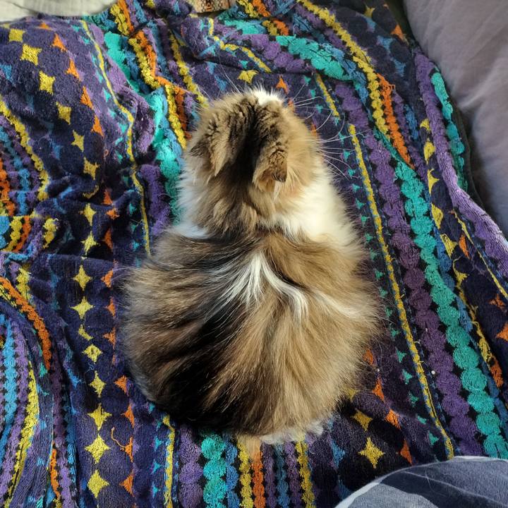 42db22b8 07ea 43d8 b620 3e9ee6ef588c 1764559321173