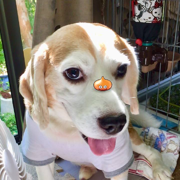 42db3411 5c5c 4fc4 a53d 2cd186cfe45b 1568866818015