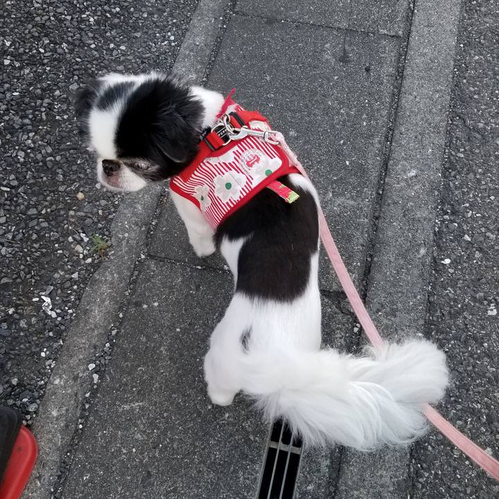 42db35bb 58cf 4c7c 984e f6bd0fbc5232 1566035878201